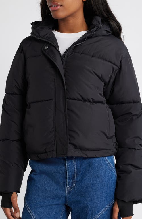 Florence By Mills Hooded Short Puffer Jacket In Black