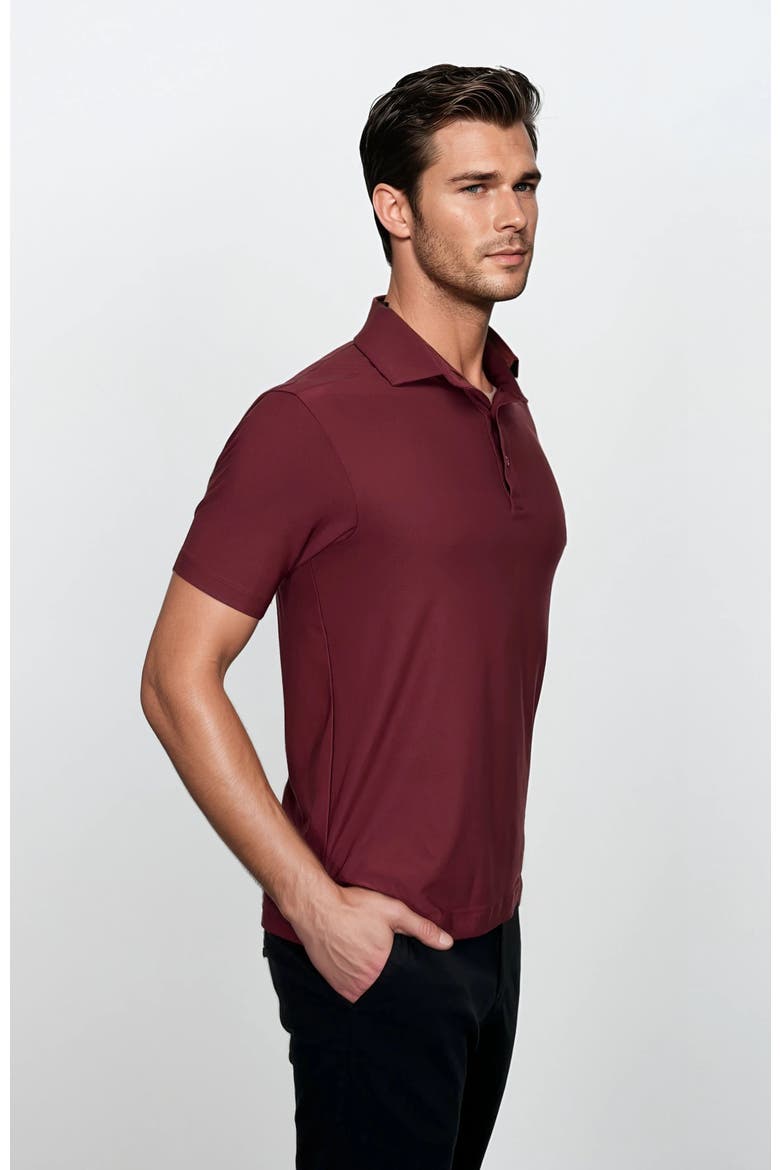 Wrinkle Resistant 3 Button Polo Shirt, Alternate, color, Wine