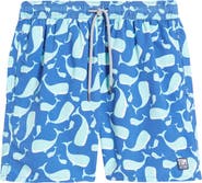 Tom
Teddy Whale Print Swim Trunks