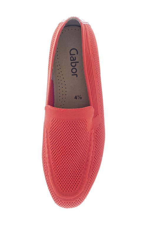 Gabor Rhinestone Knit Loafer In Flame