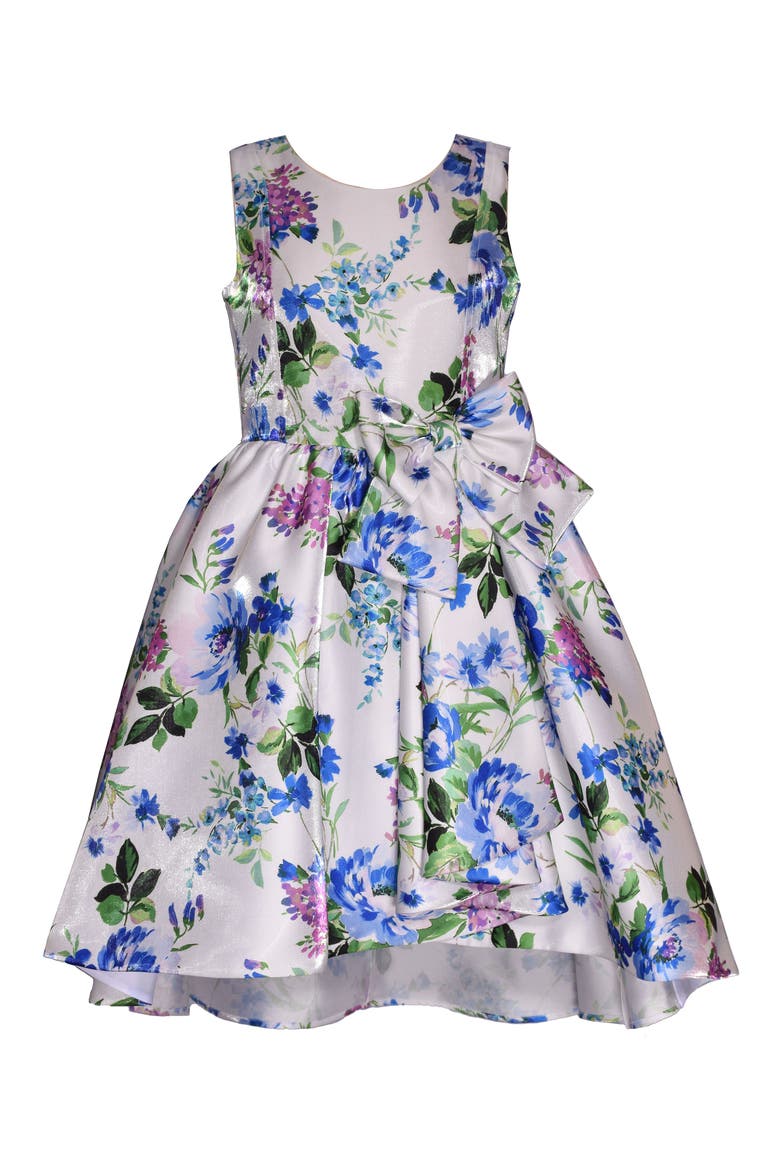 Kids' Floral Print Sleeveless Dress, Main, color, BLUE