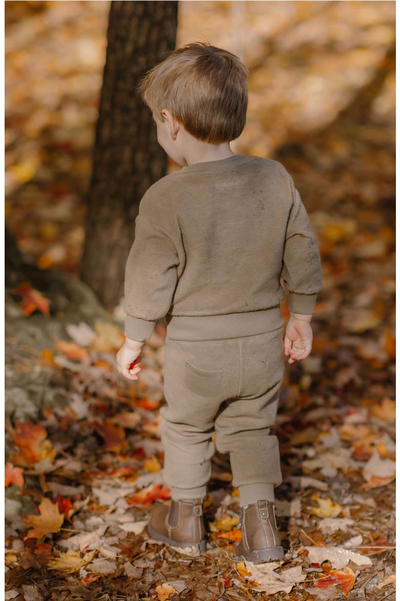 Organic Cotton Teddy Fleece Sweatshirt, Alternate, color, MOSS