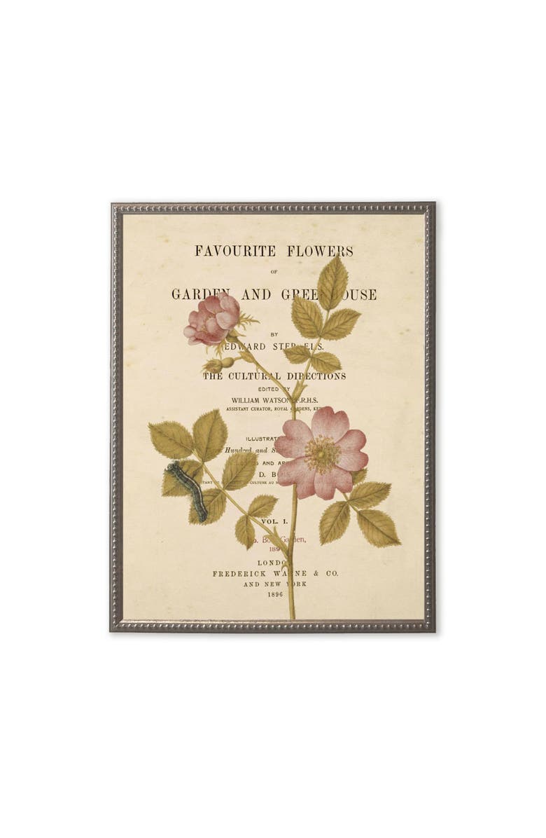 Antique Curiosities Pink Flowers On Book Page in Silver-Beaded Frame, Main, color, Multi