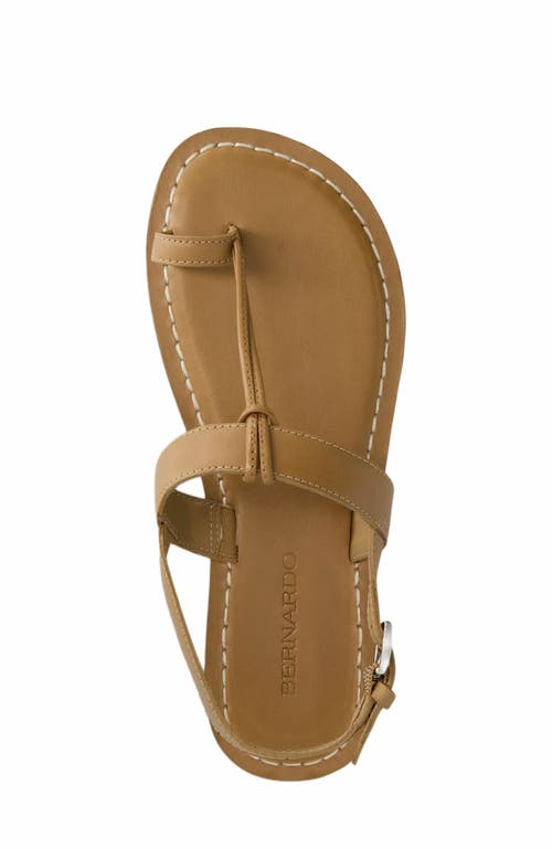 Bernardo Calfskin T-strap Slingback Sandals In Brown