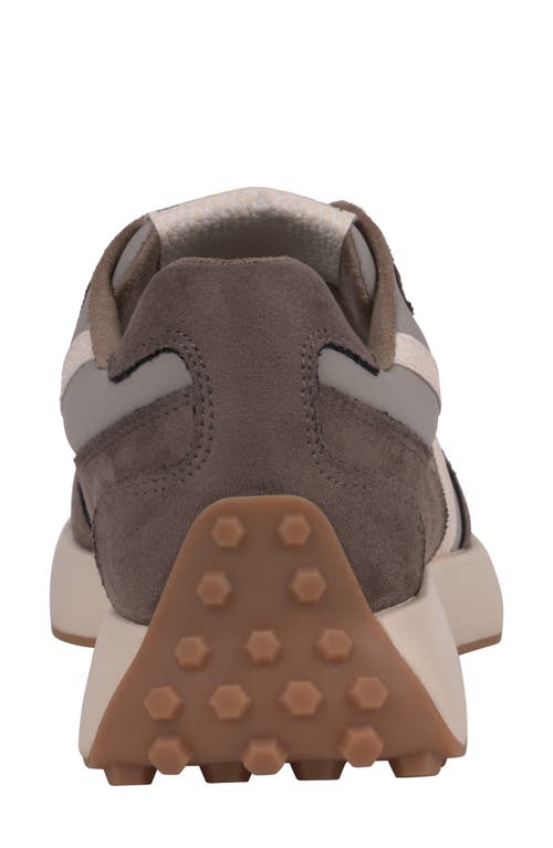 Shop Good Choice New York Howell Sneaker In Taupe
