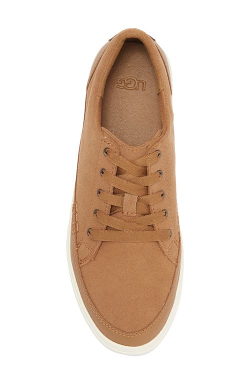 Ugg ® Zilo Platform Sneaker In Chestnut Brown