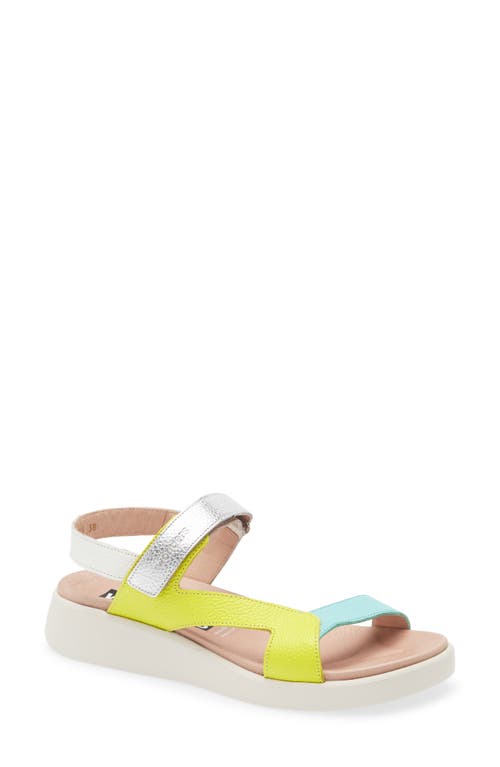 Wonders Colorblock Leather Sandal In Multi