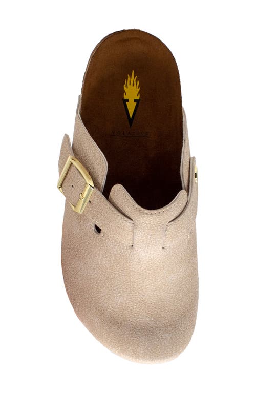 Volatile Pumpkin Clog In Brown