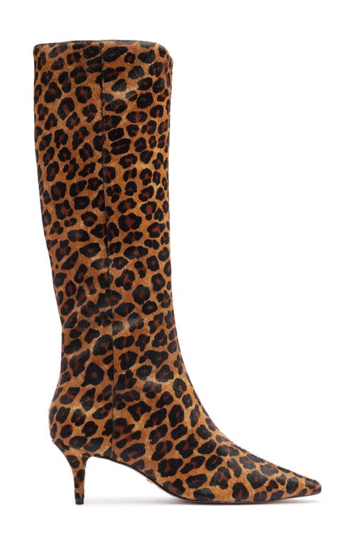 Arezzo Sasha Pointed Toe Knee High Boot In Multi