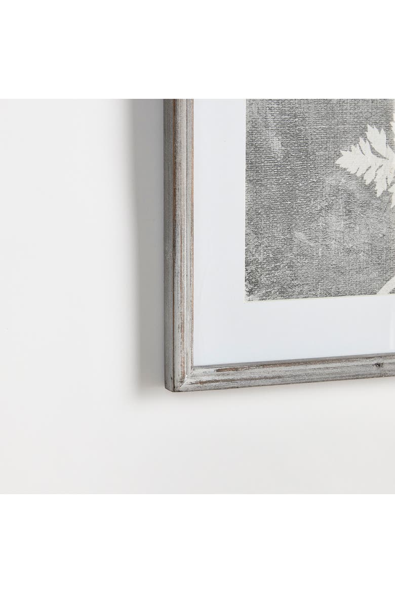 Blooming Queen Anne's Lace Prints, Set Of 2, Alternate, color, Gray