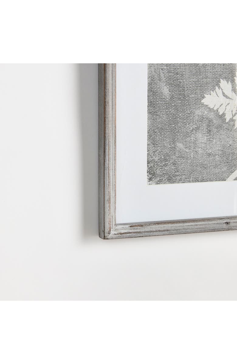 Napa Home & Garden Blooming Queen Anne's Lace Prints, Set Of 2, Alternate, color, Grey