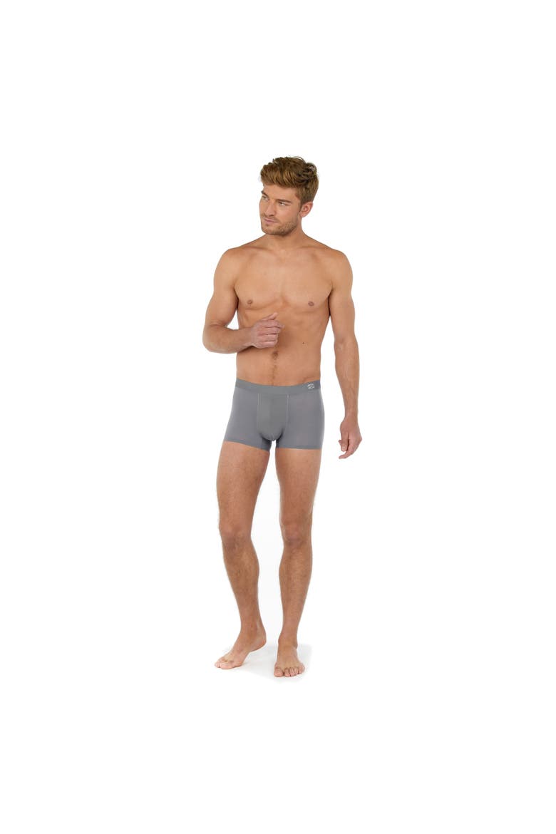 H-Fresh Comfort Boxer Brief, Alternate, color, Grey