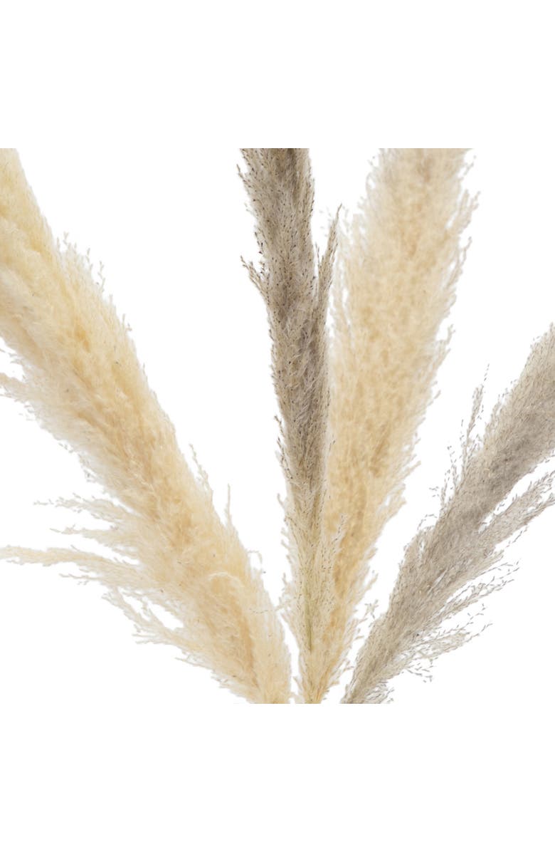 NEARLY NATURAL 33-in Dried Natural Pampas Grass Bundle - Set of 48, Alternate, color, Beige