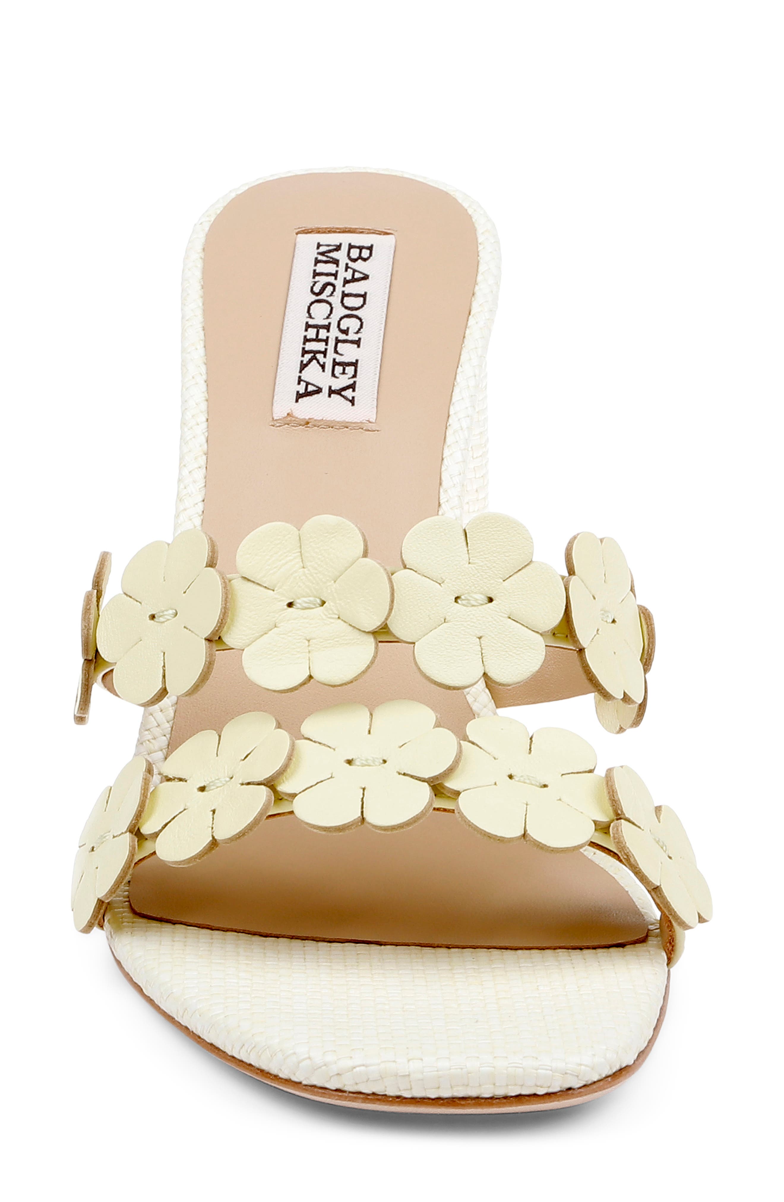 Webster Slide Sandal, Alternate, color, LIME LEATHER