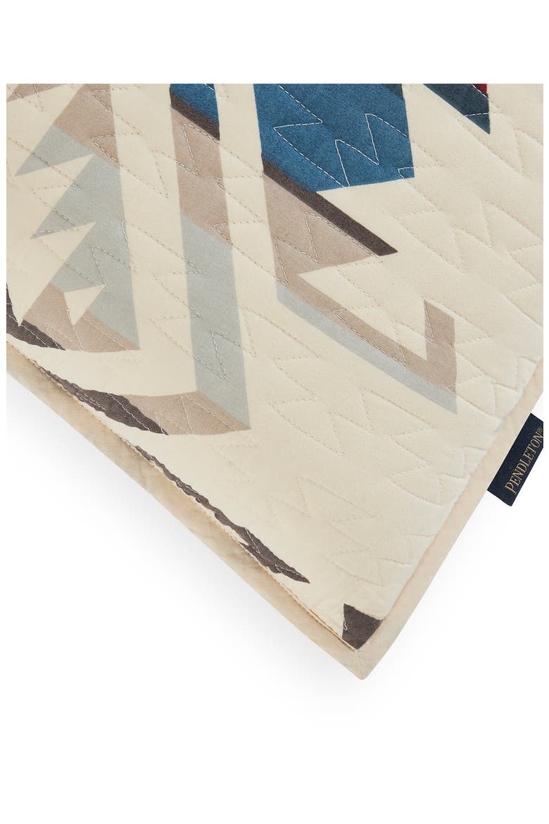 White Sands Euro Pillow, Alternate, color, SAND SHELL