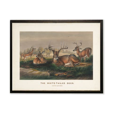 "The White-Tailed Deer" Scene in Copper and Black Frame