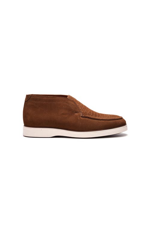 Carlos Santana Joplin Laceless Chukka