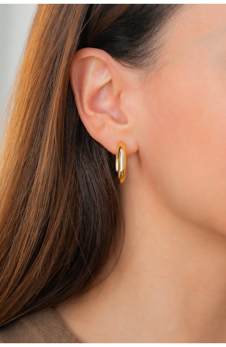 Mint & Lily Bold Hoop Earrings, Alternate, color, 925 Sterling Silver