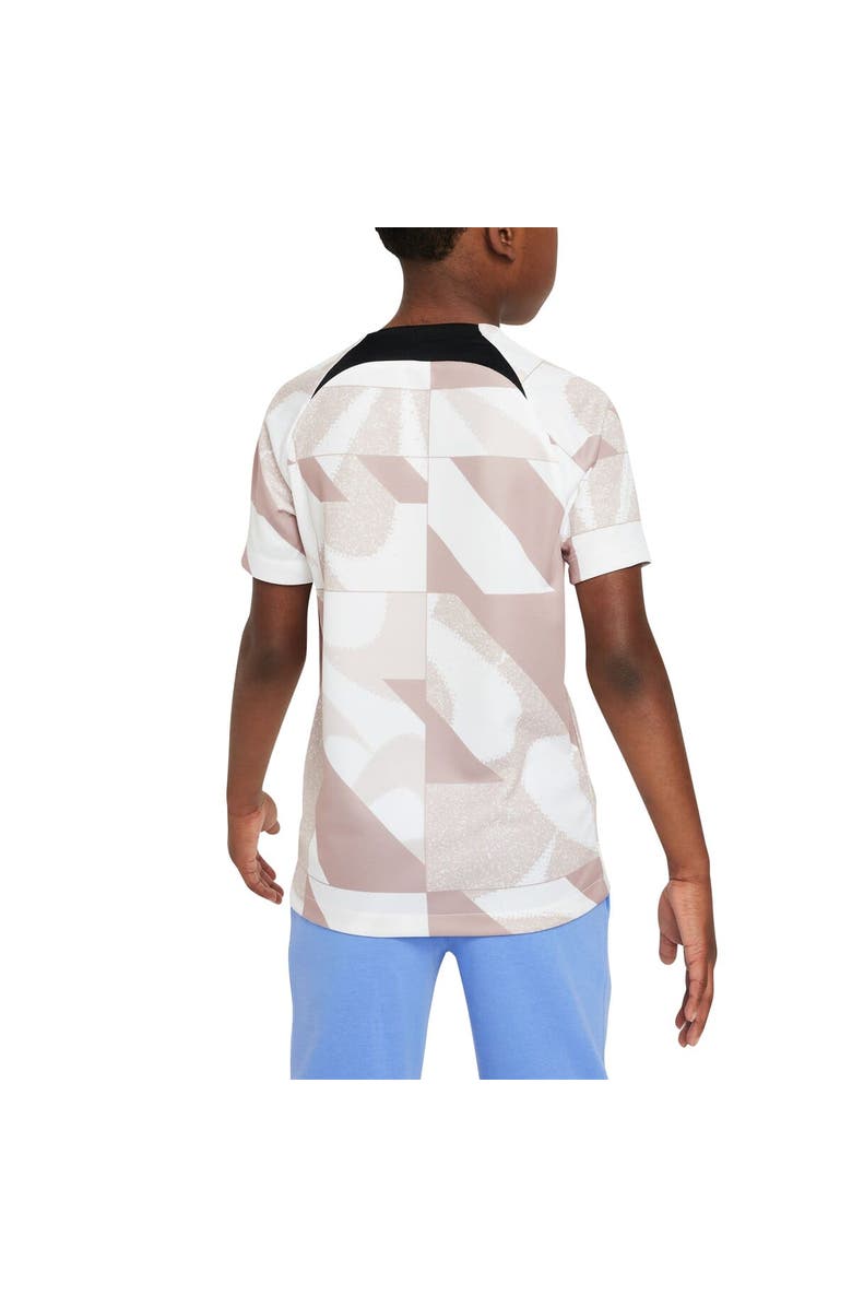 Nike Youth Nike White Tottenham Hotspur 2023/24 Academy Pro Performance Pre-Match Top, Alternate, color, White