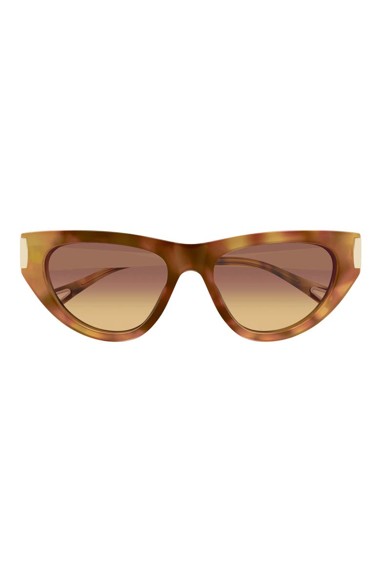 54mm Cat Eye Sunglasses, Main, color, SHINY HAVANA BROWN HONEY