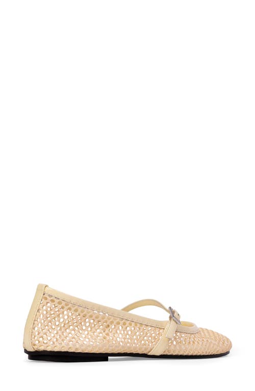 Black Suede Studio Mika Mary Jane Flat In Butter Mesh