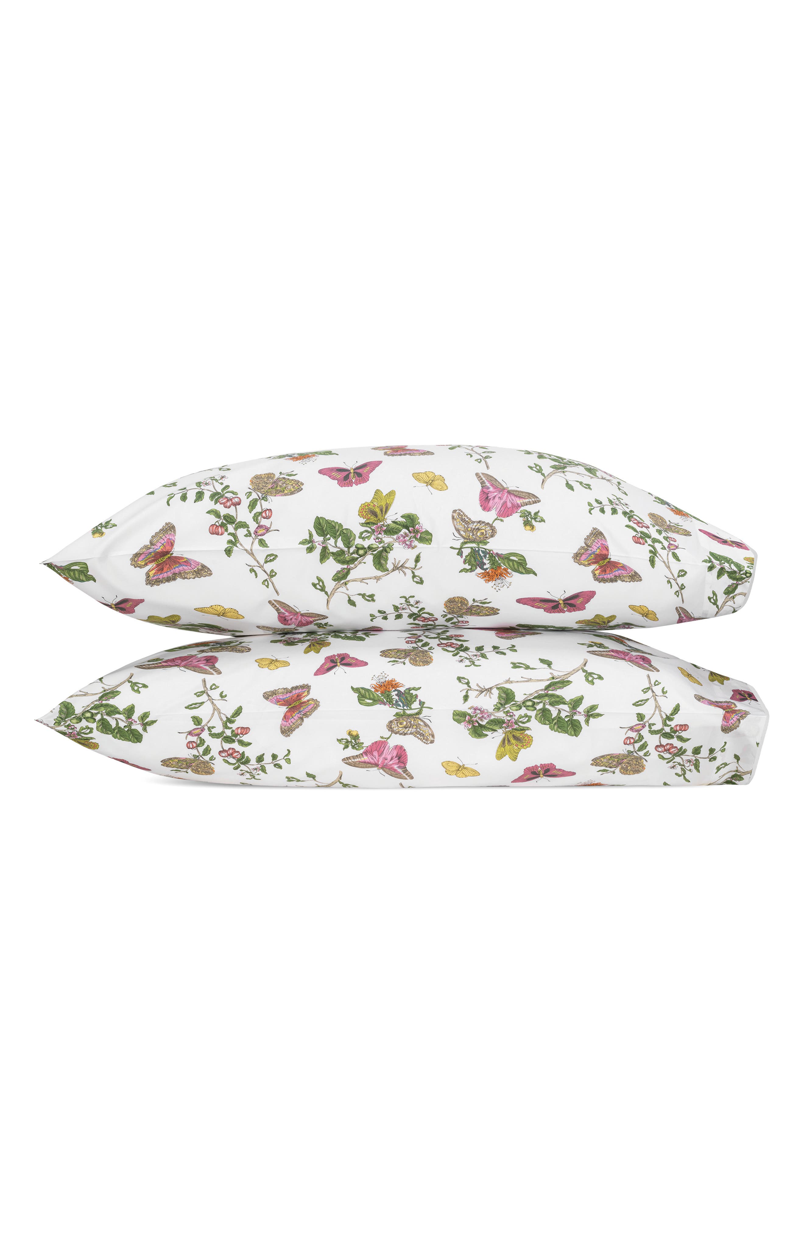 BAUDIN BUTTERFLY PINK