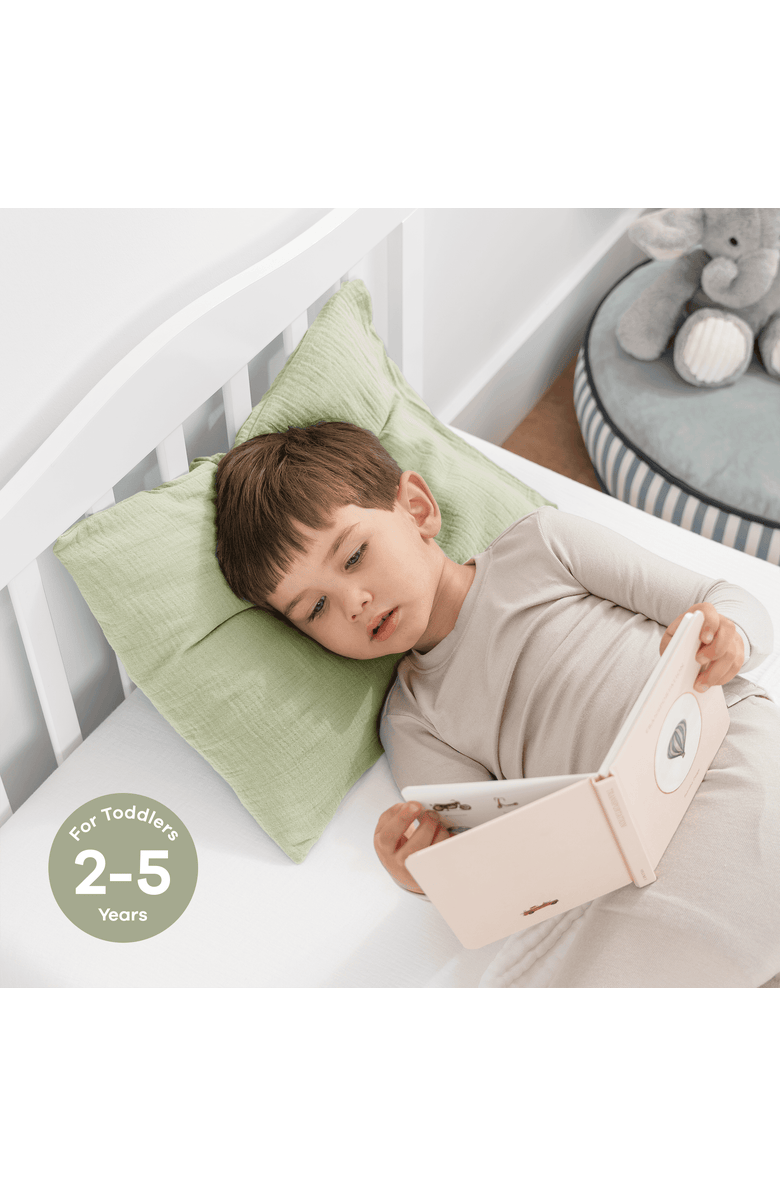 Comfy Cubs Toddler Pillows with Soft Muslin Pillow Case, Pack of 2, Alternate, color, Sage