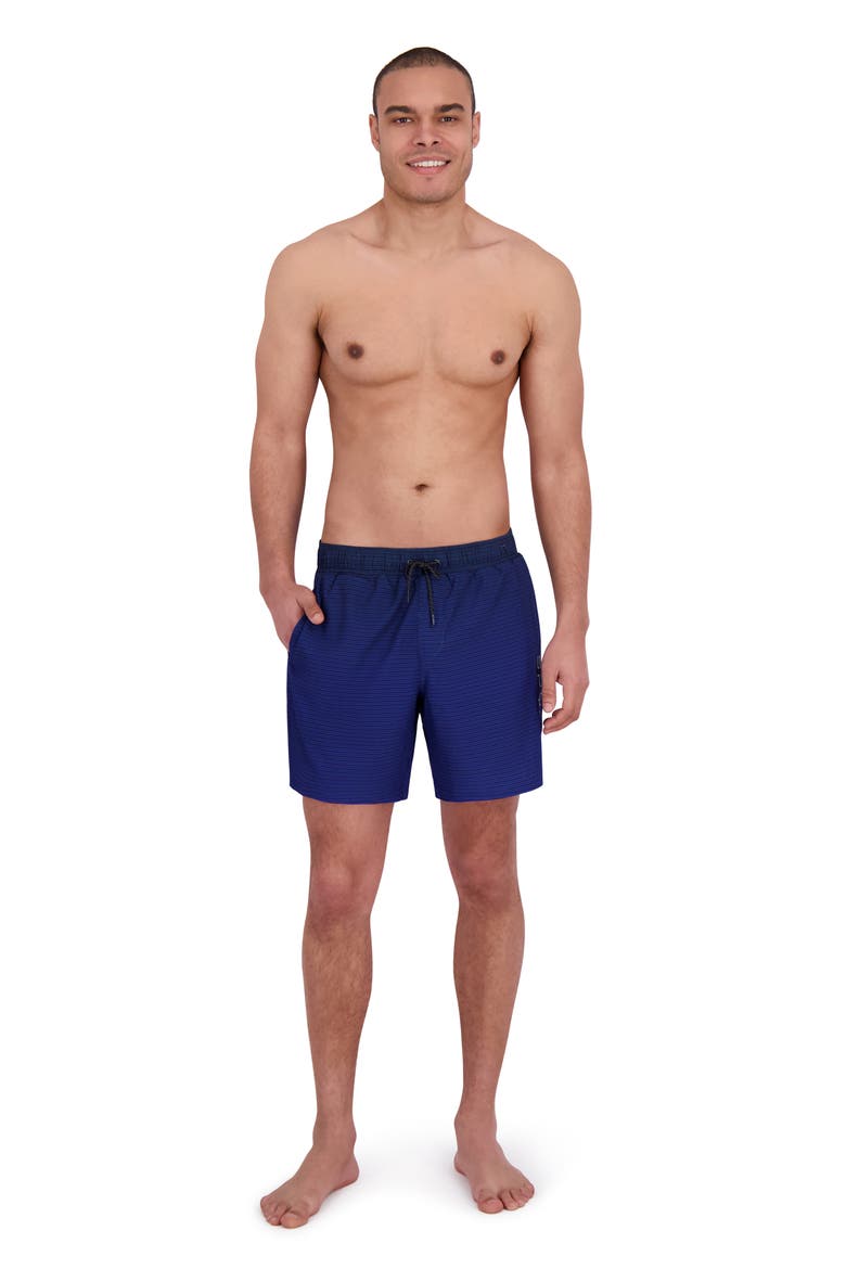 Gradient Stripe Volley Swim Shorts, Alternate, color, DRESS BLUE