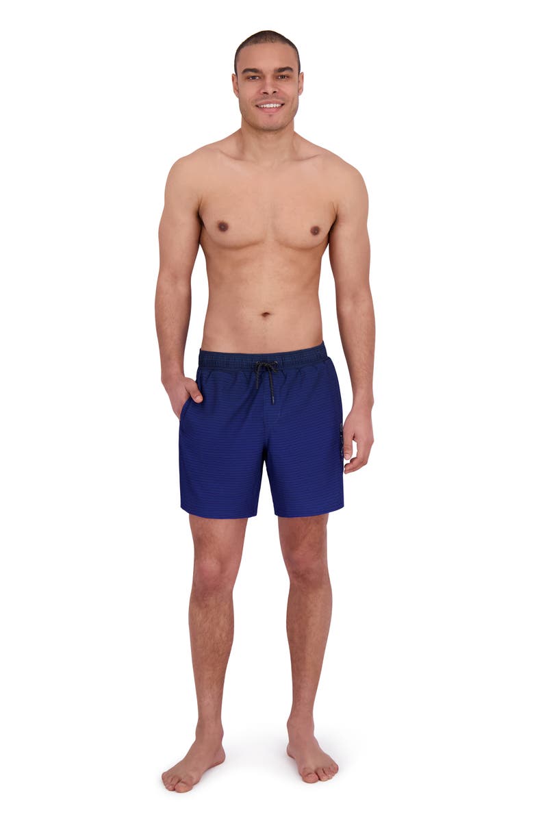 Spyder Gradient Stripe Volley Swim Shorts, Alternate, color, Dress Blue