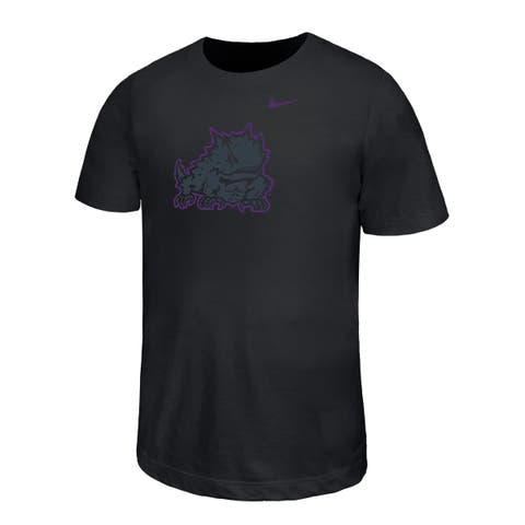 Youth Nike Black TCU Horned Frogs Legend Color Pop Performance T-Shirt