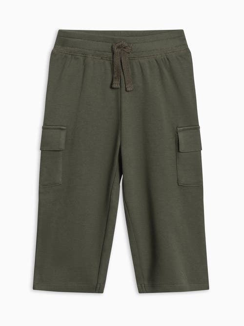Colored Organics Organic Cotton Will Cargo Pants In Green