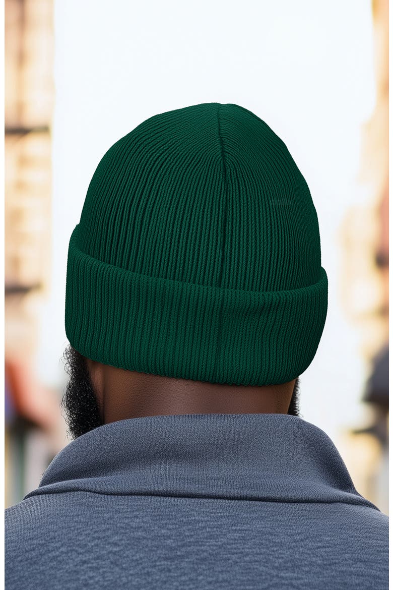 Pigeon Beanie Cap, Alternate, color, Green