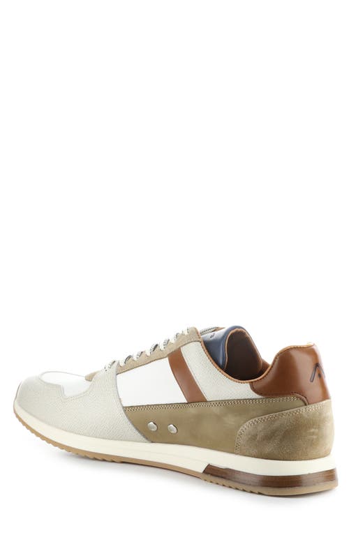 Ambitious 11240 Perforated Sneaker In Grey/off White/camel Leather