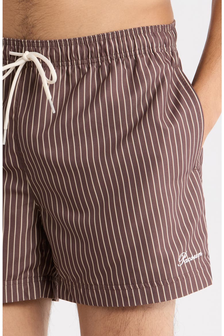 Bailey Pinstripe Swim Trunks, Alternate, color, BROWN/ TAN