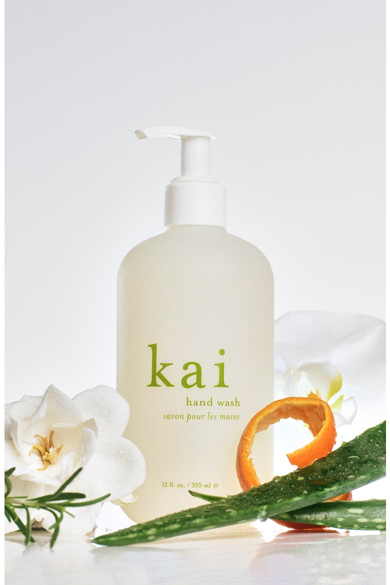 Hand Wash, Alternate, color, NO COLOR