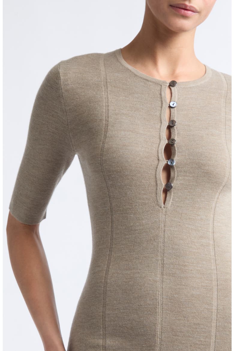 Shell Button Merino Wool Godet Dress, Alternate, color, HEATHER PEBBLE