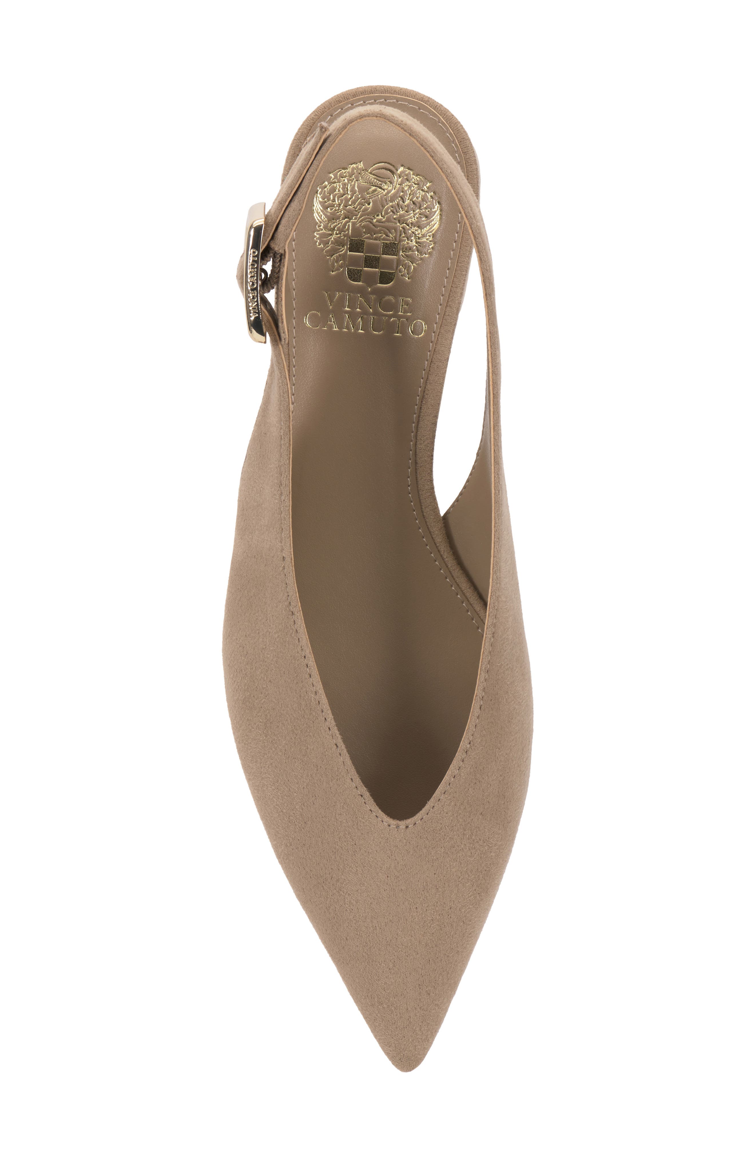 Velana Pointed Toe Pump, Alternate, color, TORTILLA STRETCH