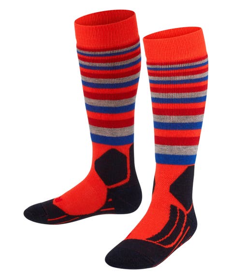 SK2 Intermediate Stripes Ski Socks (Kids)