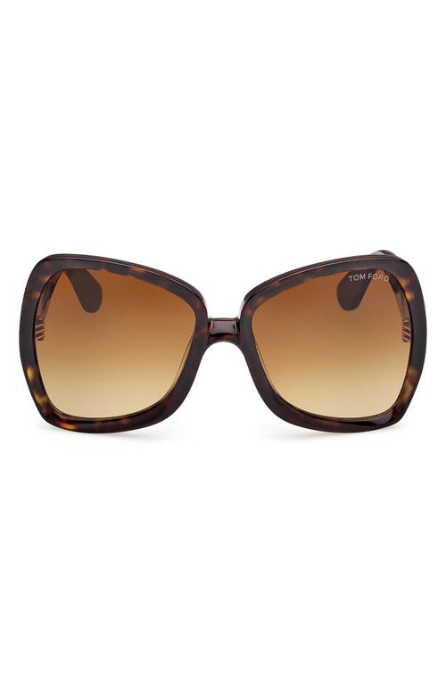 TOM FORD TOM FORD JERRY 60MM GRADIENT BUTTERFLY SUNGLASSES
