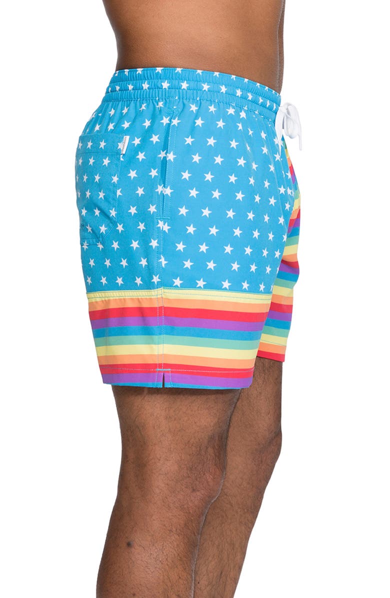 Chubbies The Love is Loves Swim Trunks, Alternate, color, 