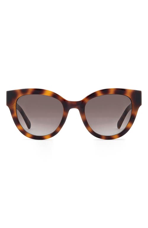 Fossil 52mm Cat Eye Sunglasses In Brown