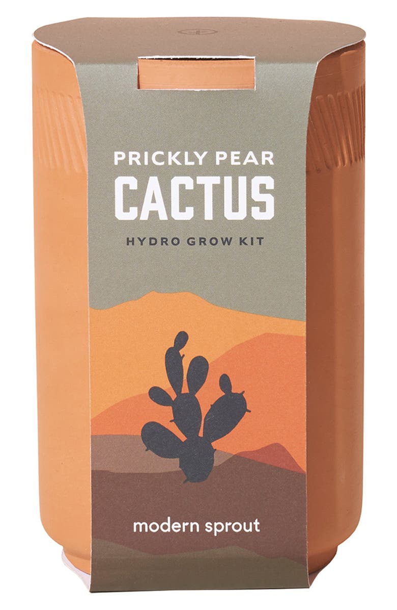 Modern Sprout Terra Cotta Grow Kit, Main, color, 