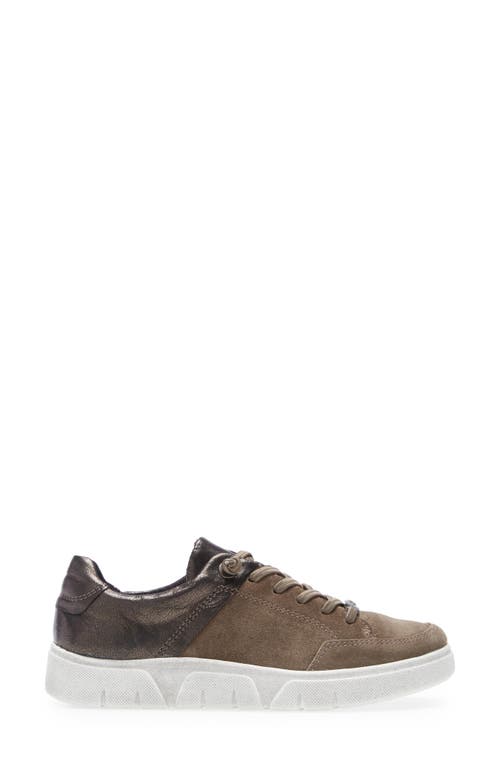 Ara Regina Sneaker In Multi