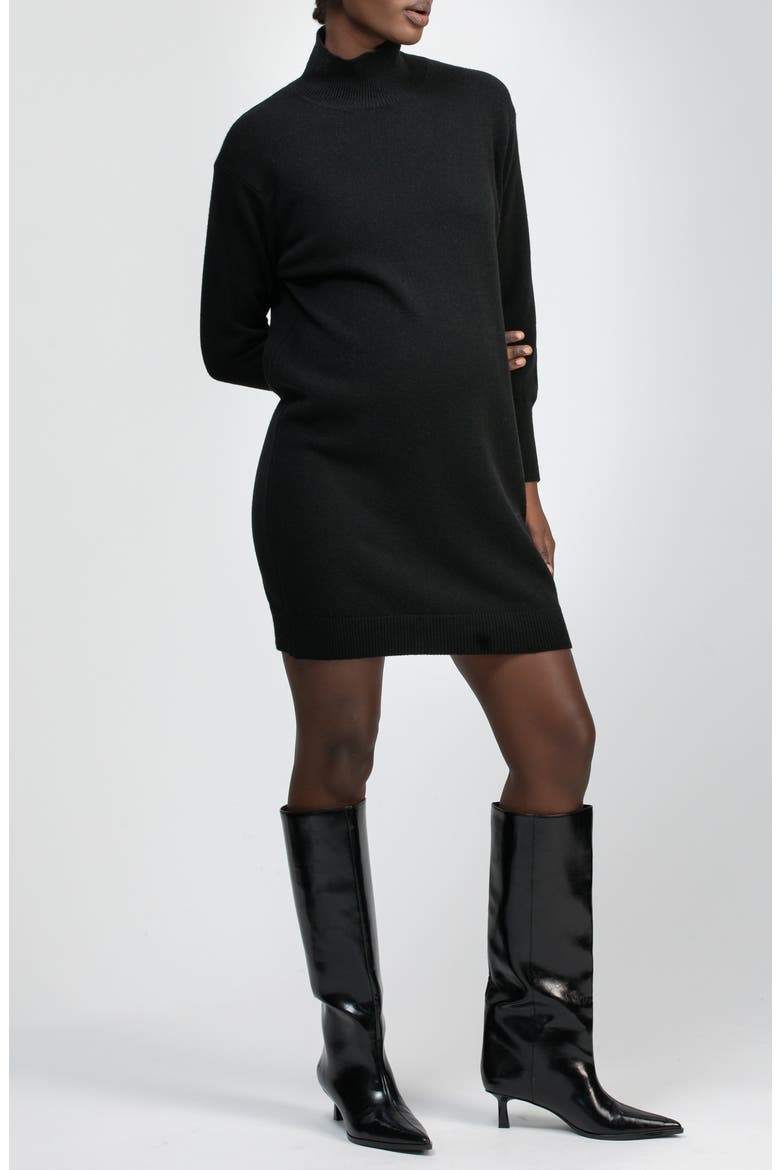 Felicia Turtleneck Long Sleeve Sweater Dress, Alternate, color, BLACK