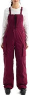The North Face Freedom Insulated Waterproof Snow Bib Overalls