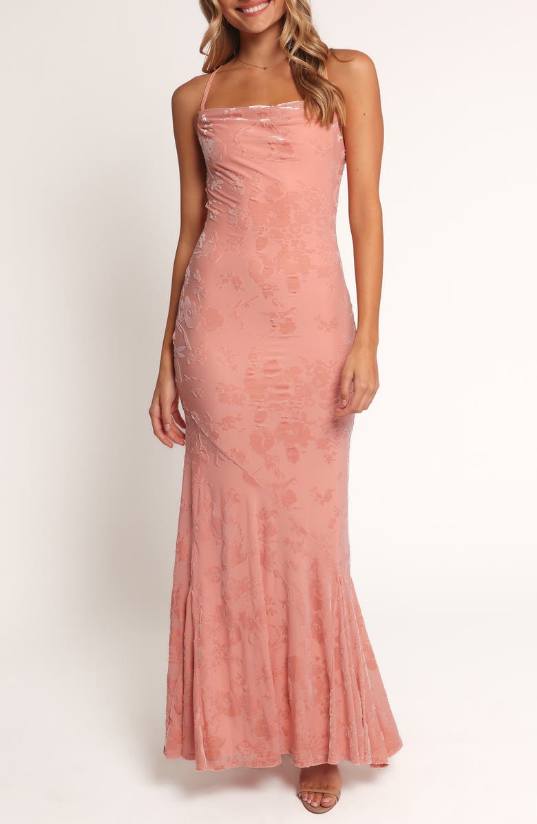 Petal & Pup Floral Velvet Burnout Maxi Dress, Main, color, Pink
