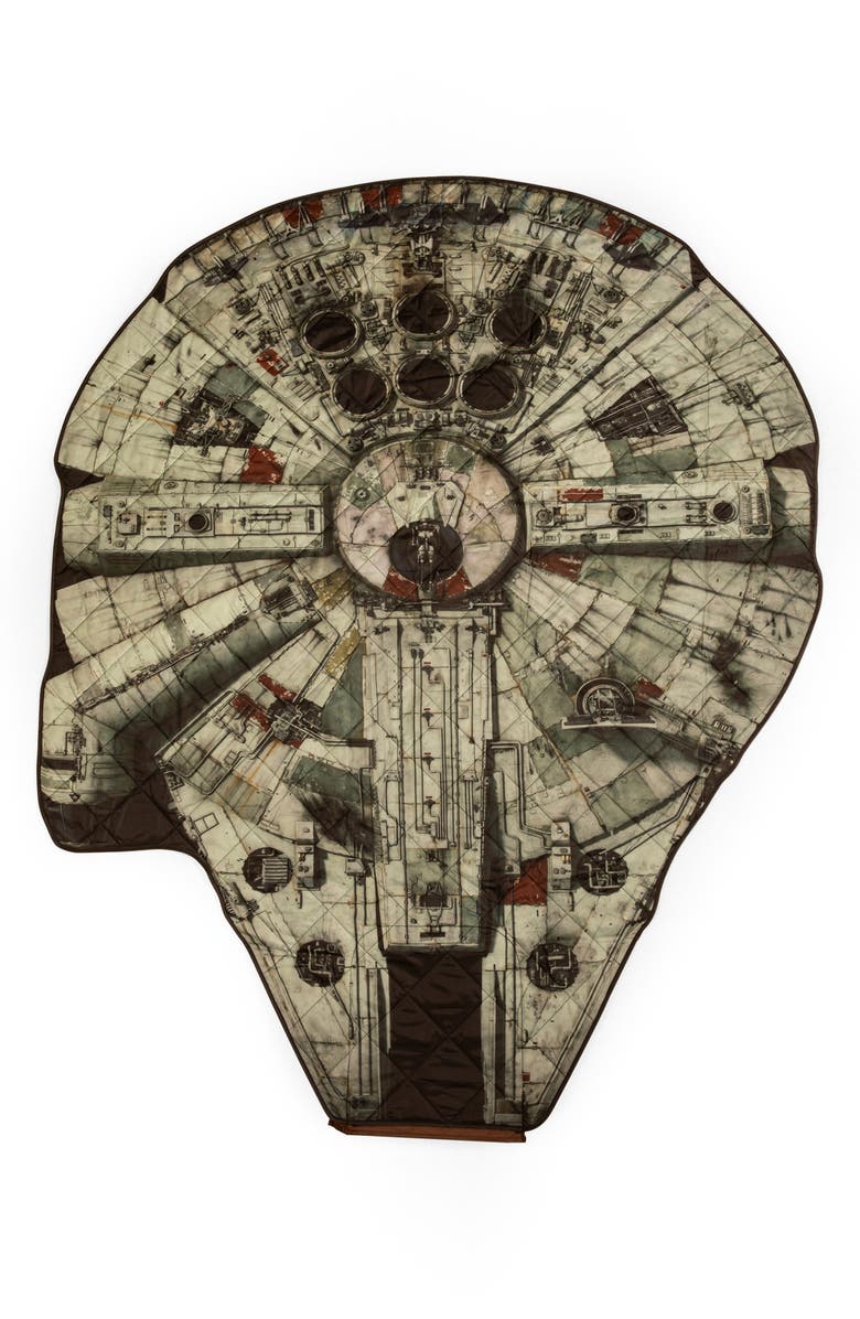 Picnic Time Star Wars Millennium Falcon Blanket in a Bag, Alternate, color, Brown