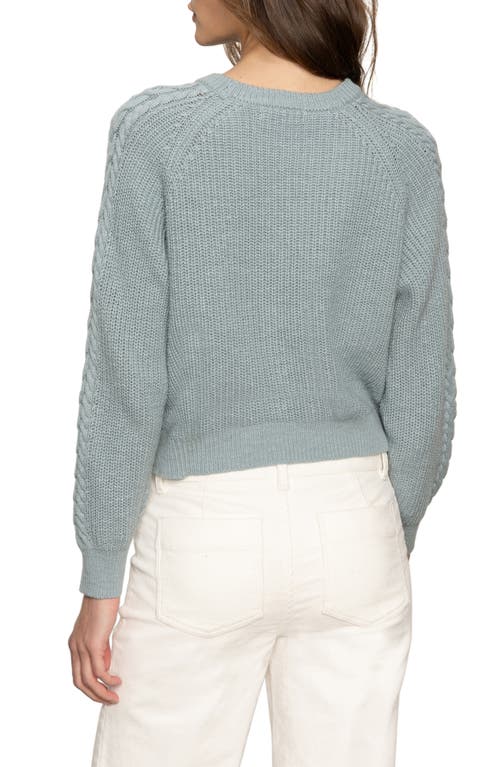 Sanctuary Nomad Cable Cotton Sweater In Multi