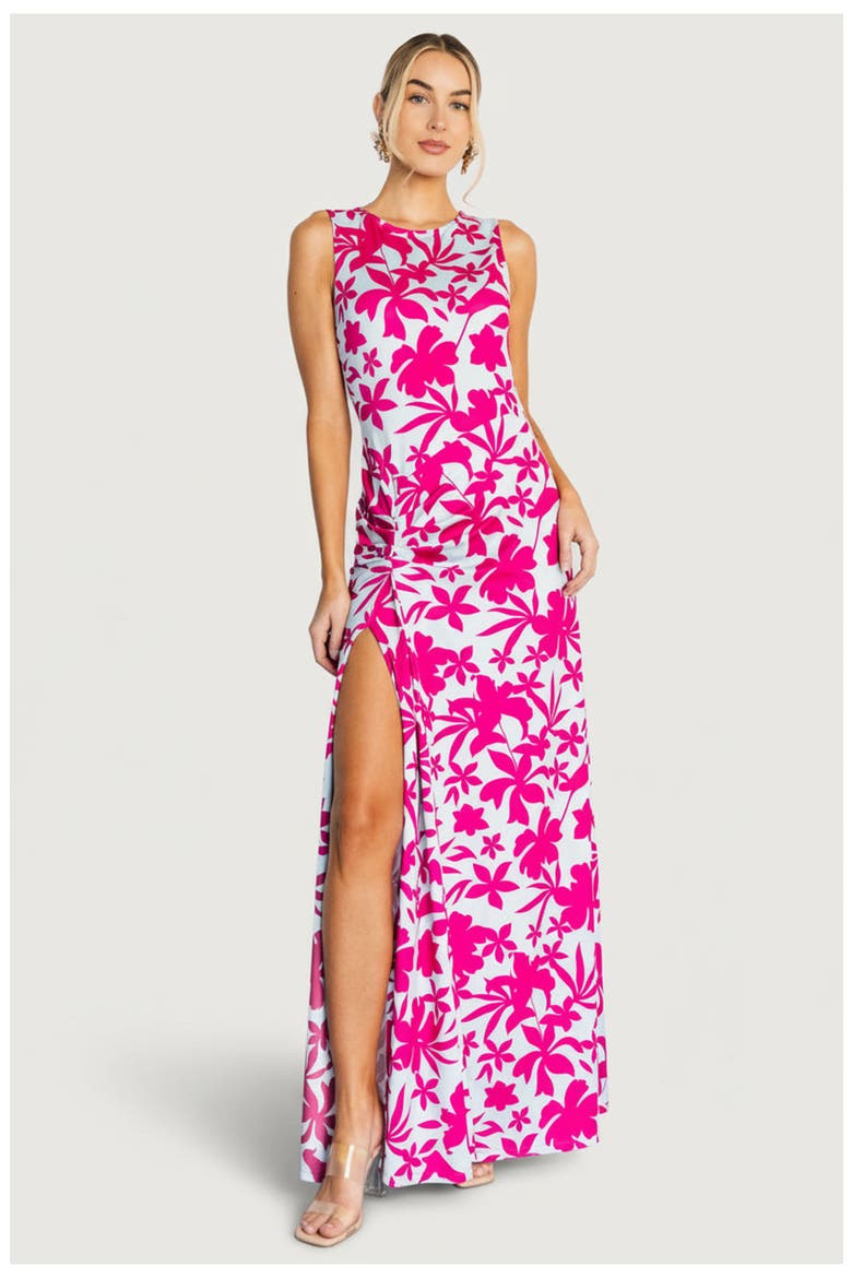 Risa Maxi Dress, Main, color, Blue + Pink