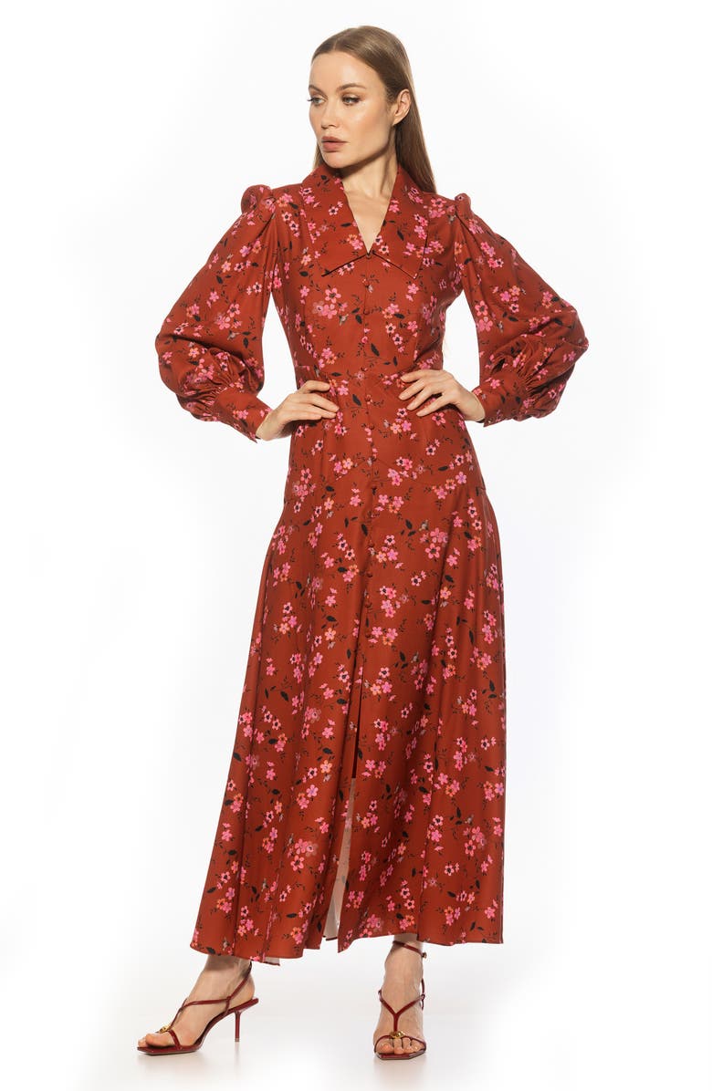 Kate Collared Long Sleeve Maxi Dress